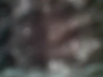 biancadoesitrig