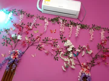 palomaimagina18
